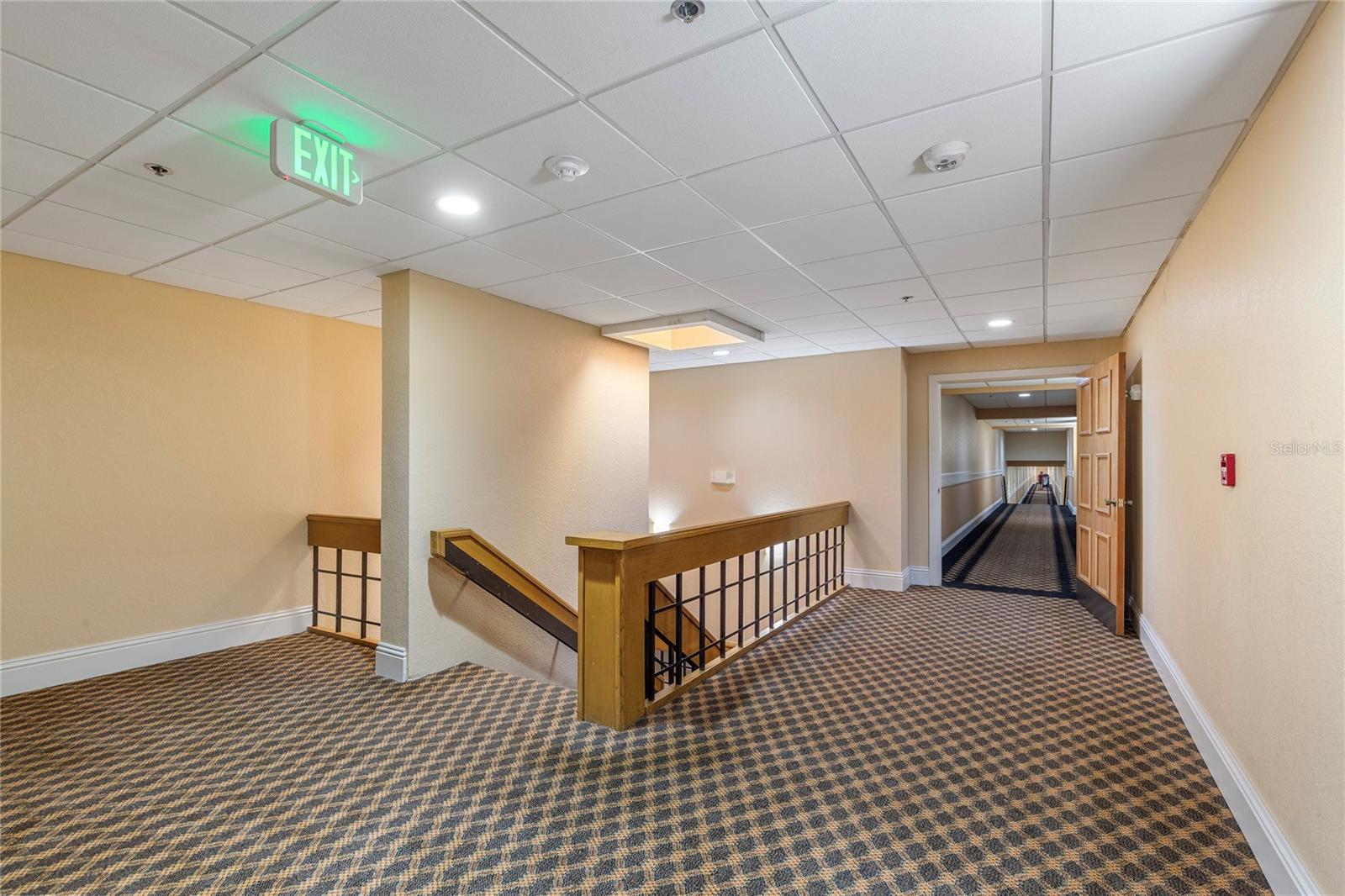 36750 US HIGHWAY 19  N #20-307 #307 — photo 41
