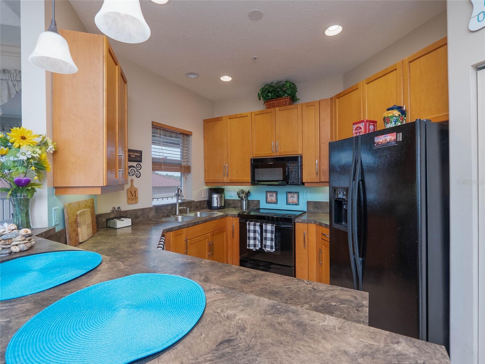 1709 GONDOLA PARK DR #1709 — photo 11