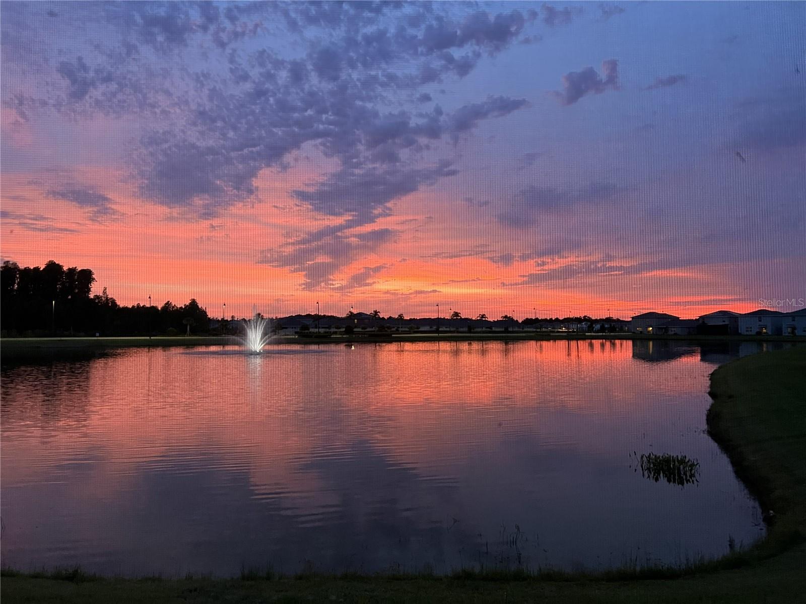3119 SUNCOAST BLEND DR — photo 3