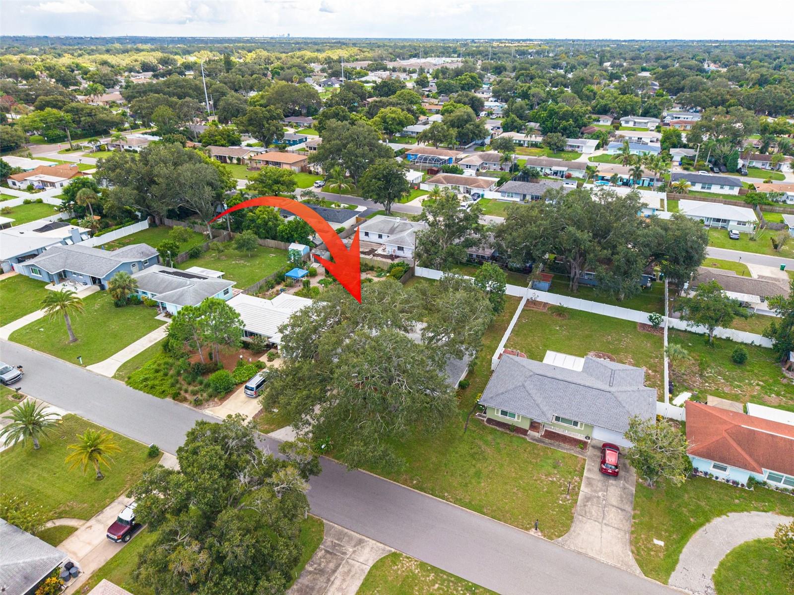 1441 SATSUMA ST — photo 31