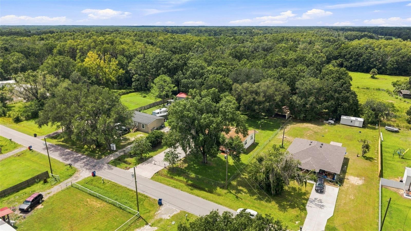 6453 MANGROVE DR — photo 39