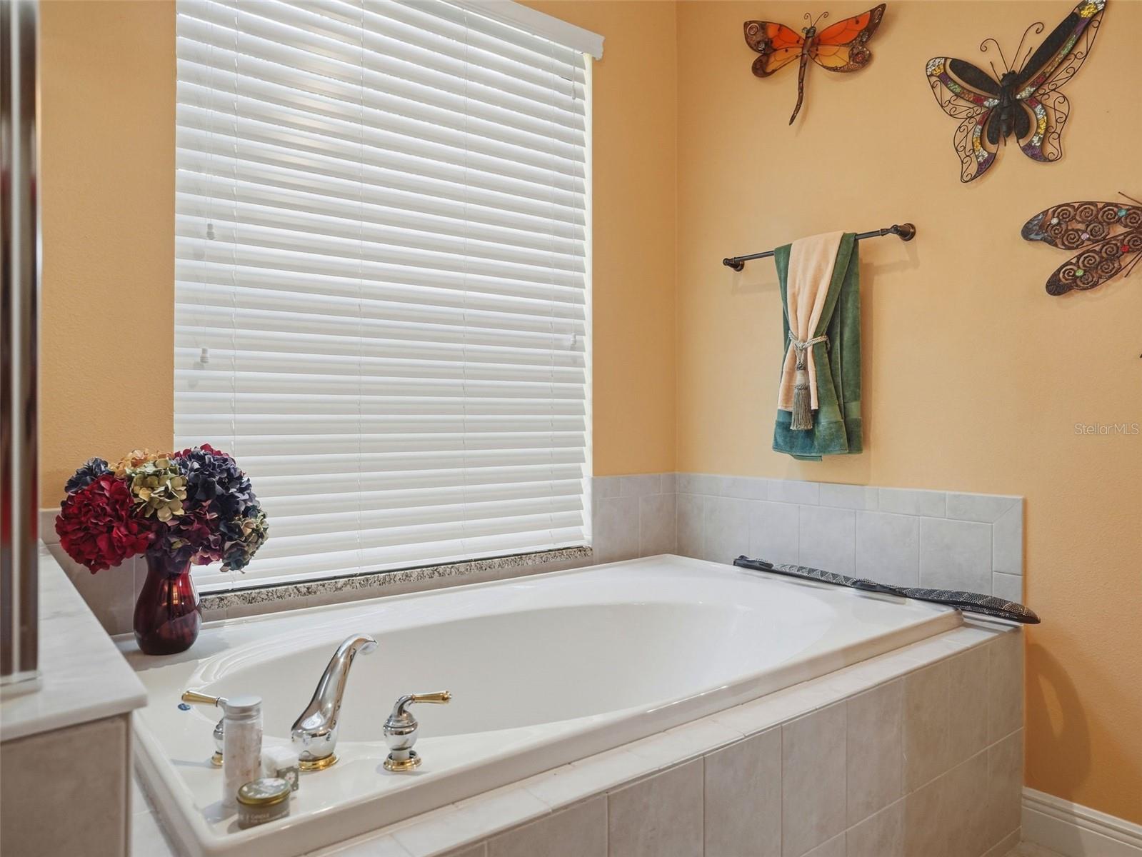 2707 LAKEBREEZE LN S — photo 48