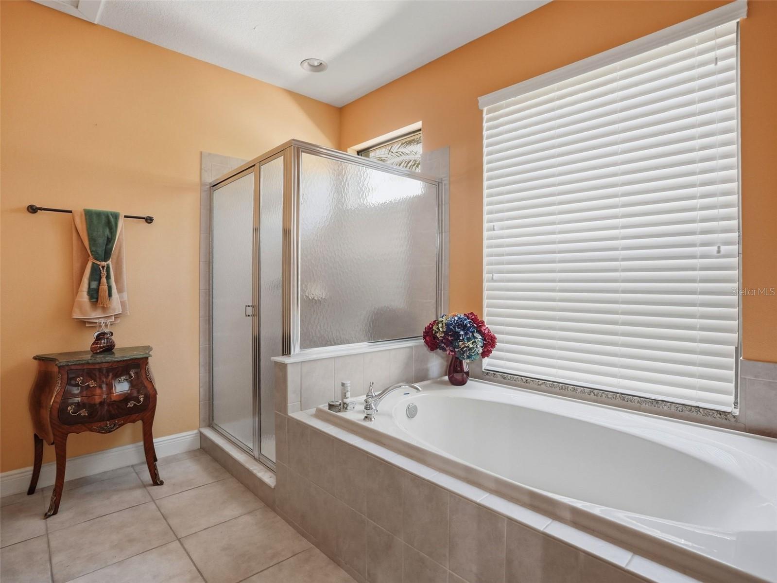 2707 LAKEBREEZE LN S — photo 47