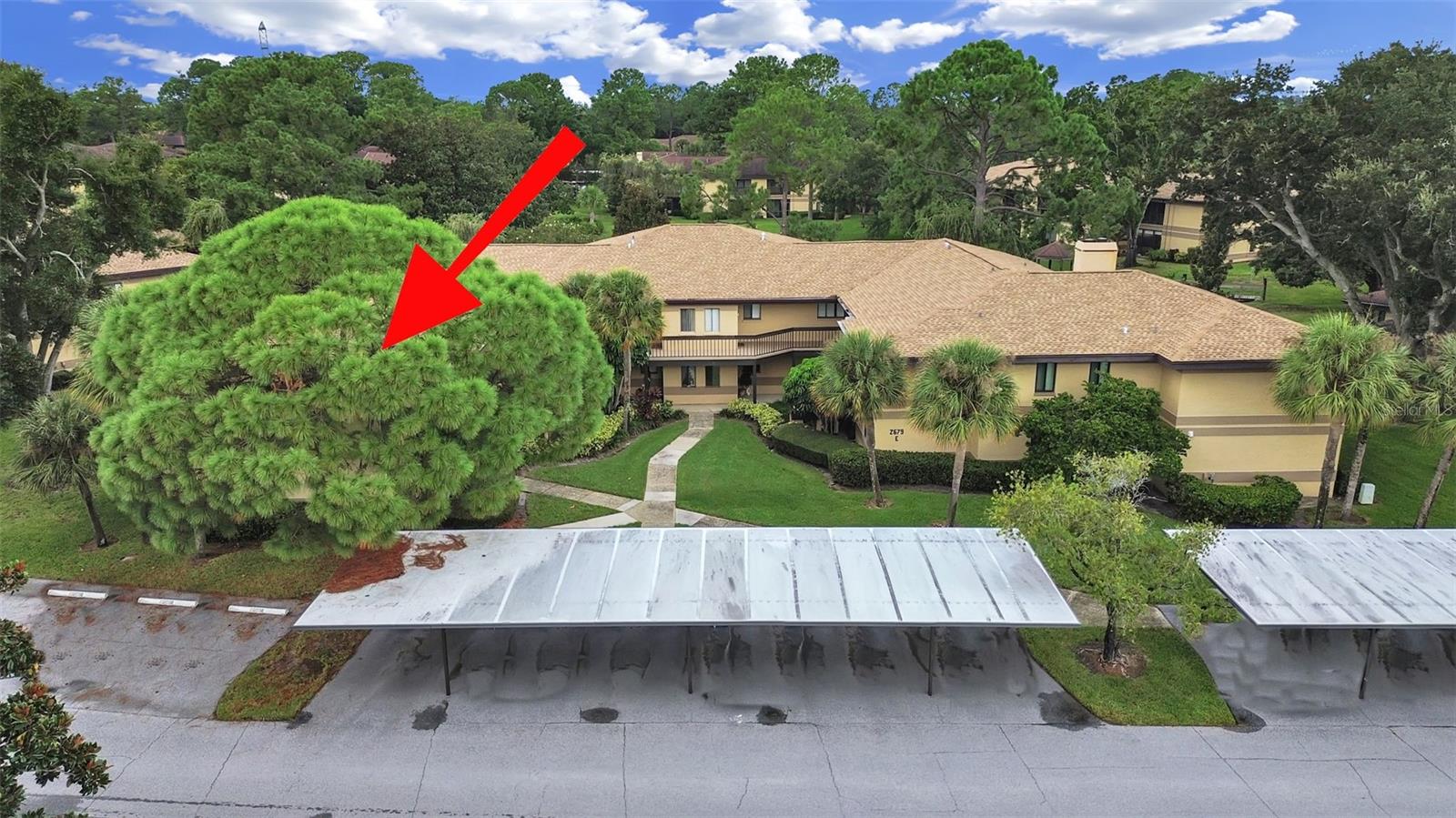 2679 SABAL SPRINGS CIR #201 — photo 50