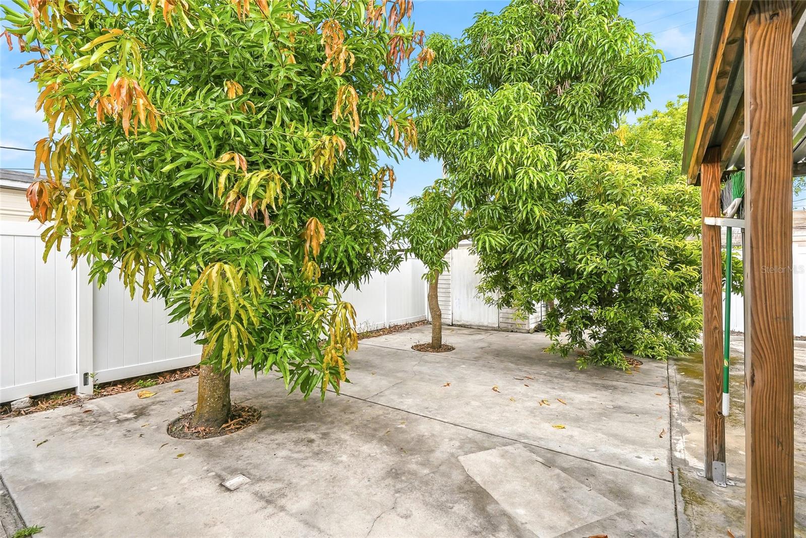 3118 RIVER COVE DR — photo 37