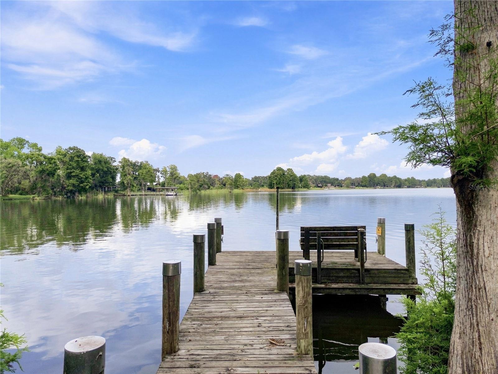 12501 APALACHEE PL — photo 13