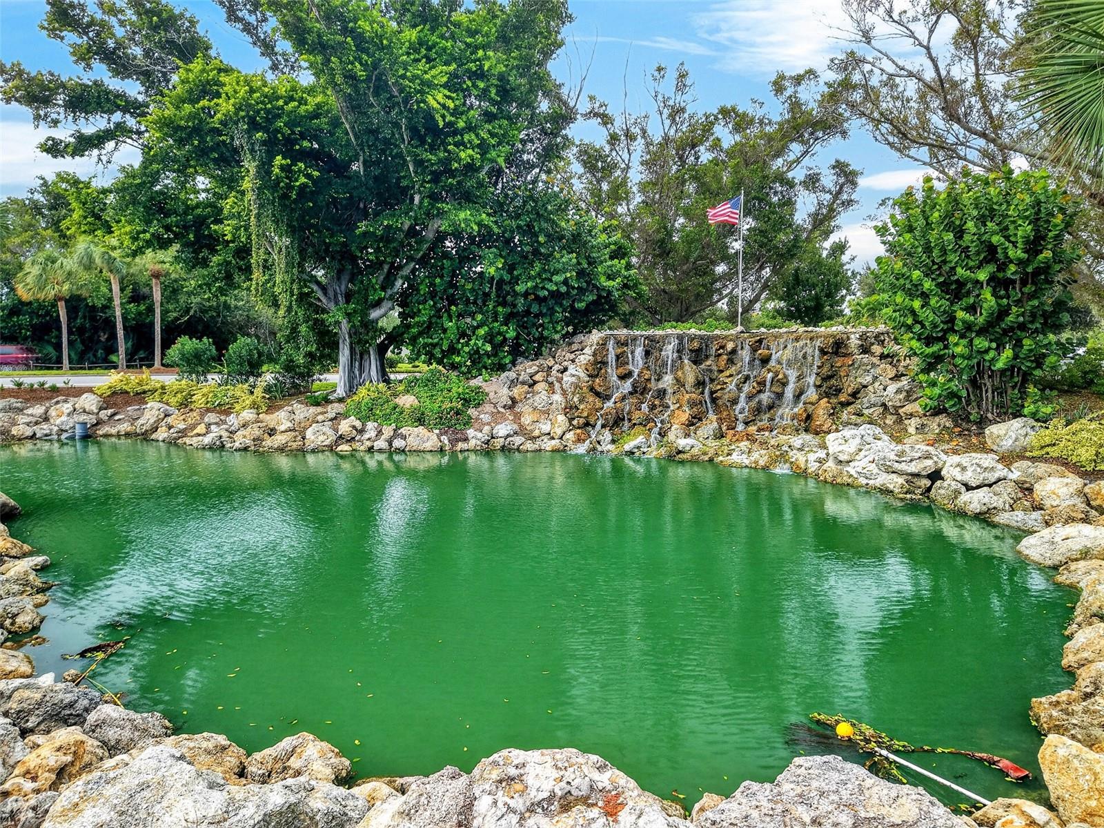 726 WHITE PINE TREE RD #84 — photo 49