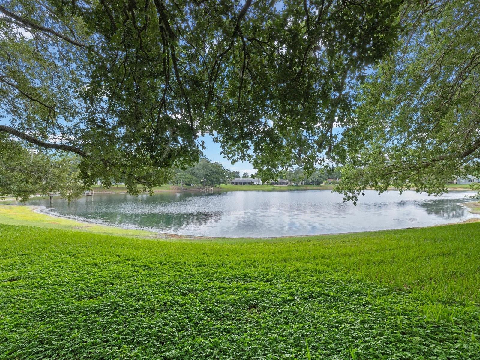 2640 ORCHARD HIGHLANDS DR — photo 57