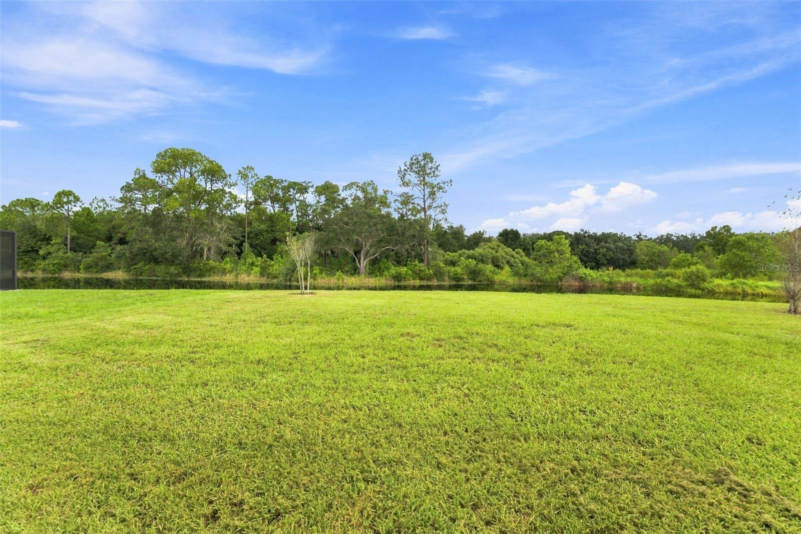 33367 APRICOT TREE CT — photo 30