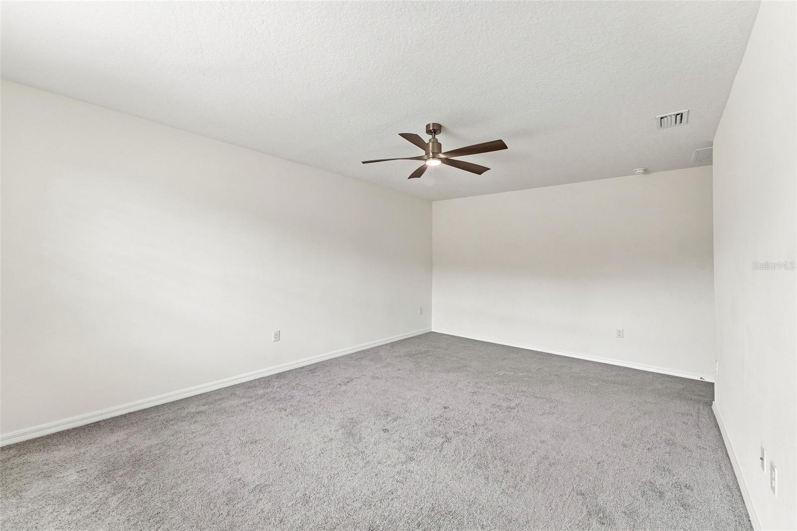 33367 APRICOT TREE CT — photo 13