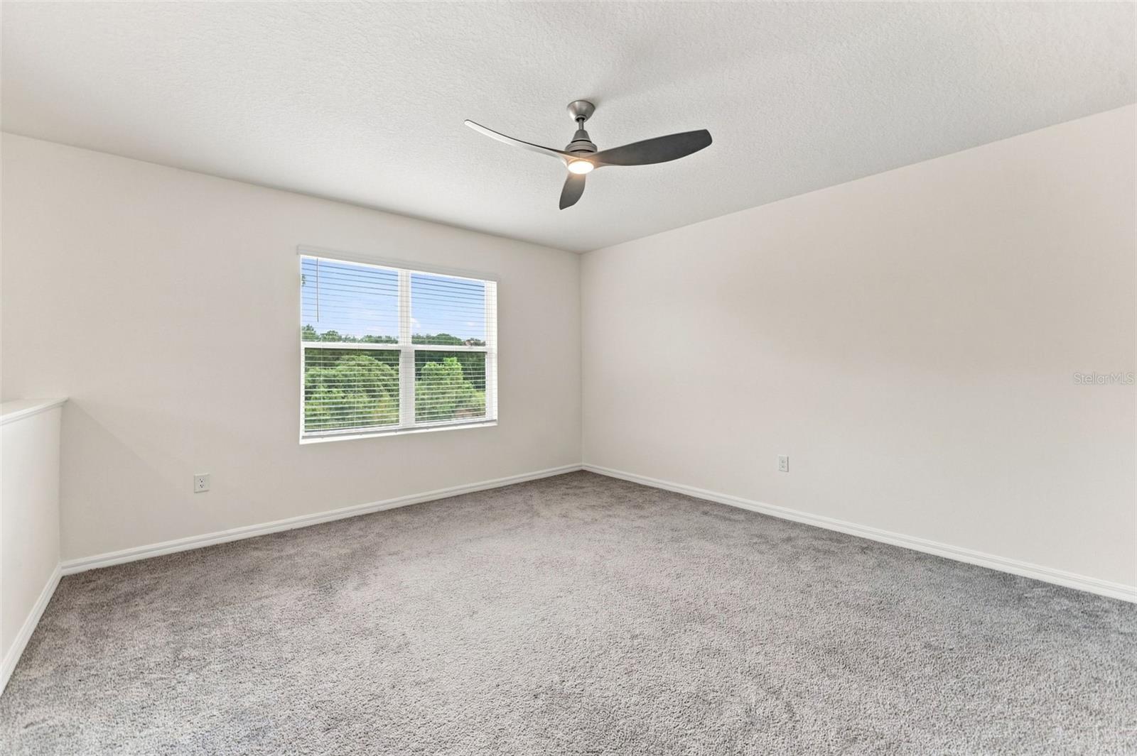 33367 APRICOT TREE CT — photo 17