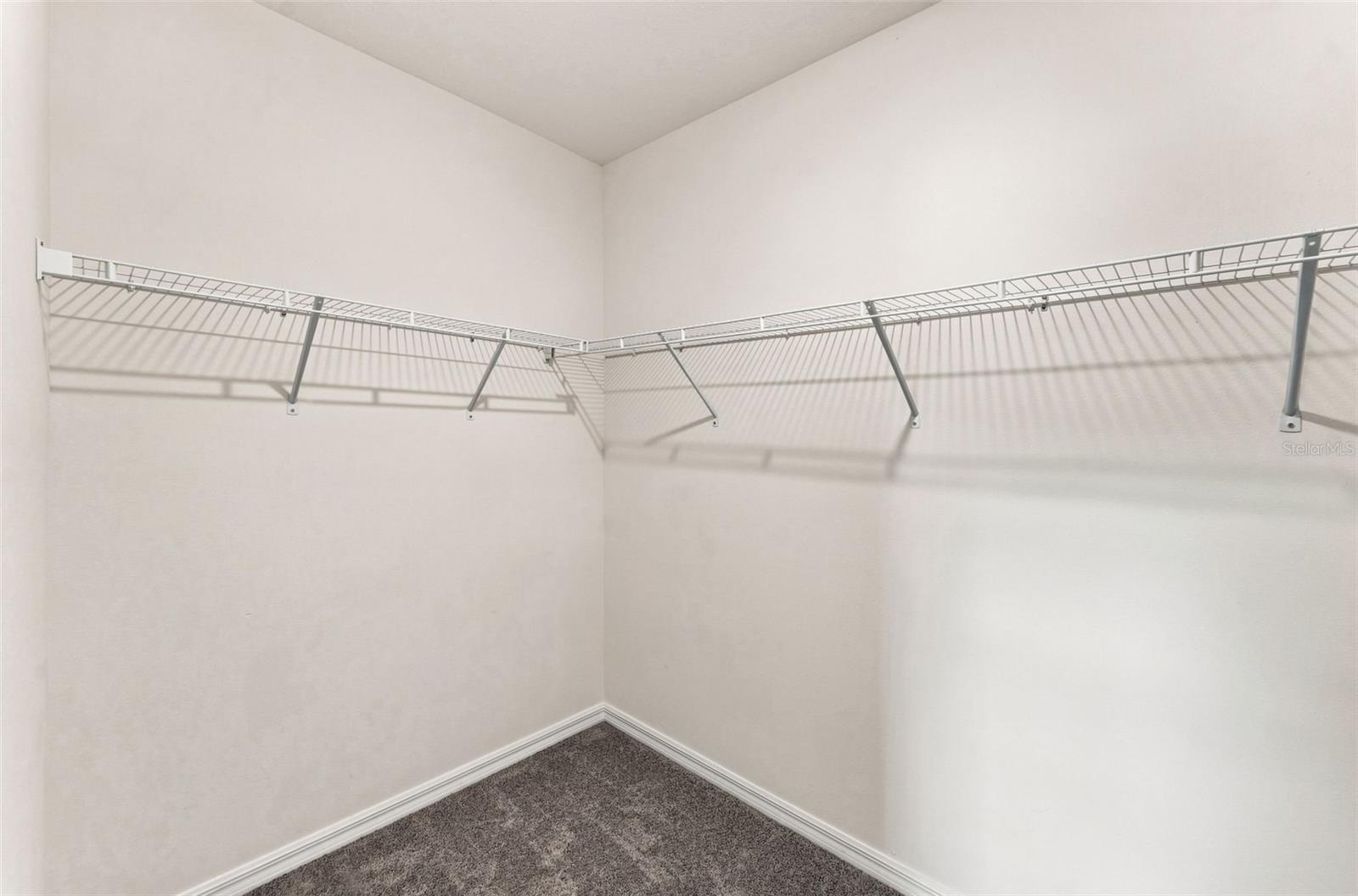 33367 APRICOT TREE CT — photo 16