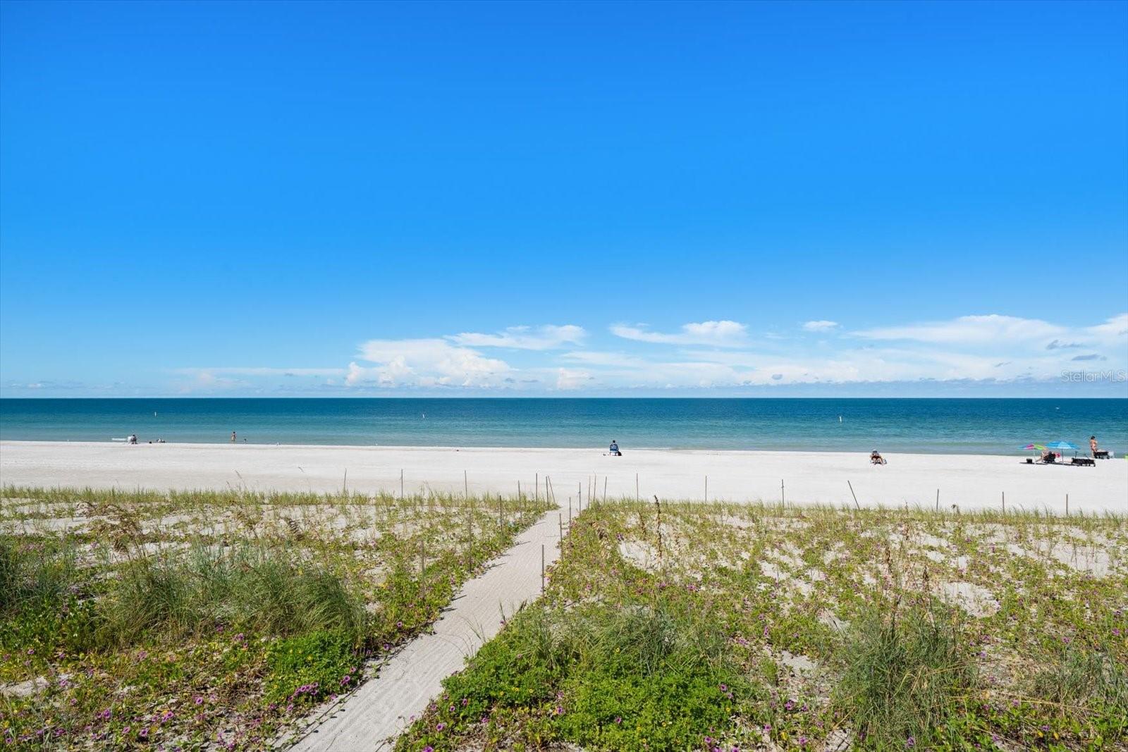 1400 GULF BLVD #3A — photo 9