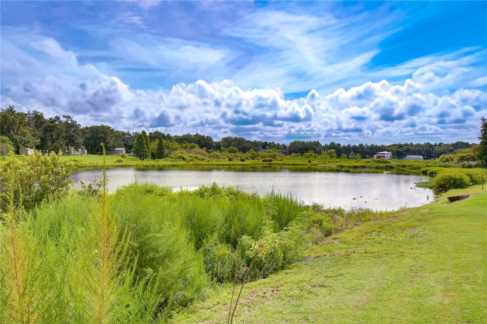 659 TIMBER POND DR — photo 4