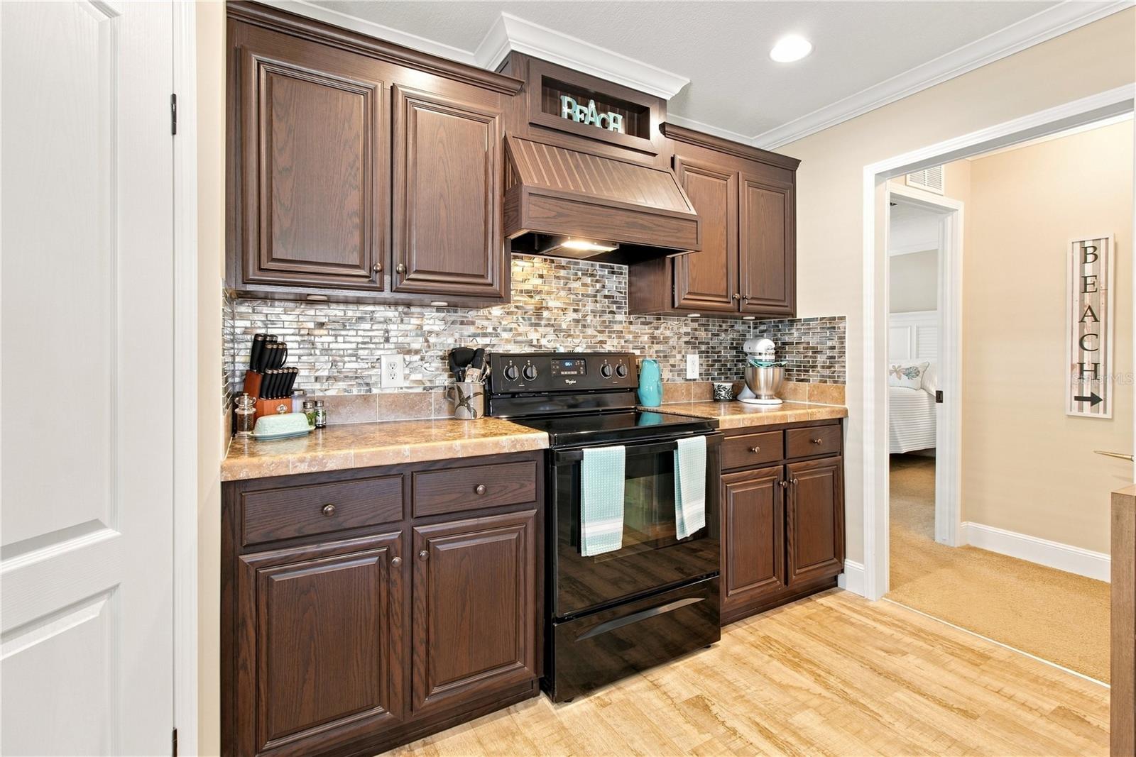 3106 TERRA SIESTA BLVD — photo 18