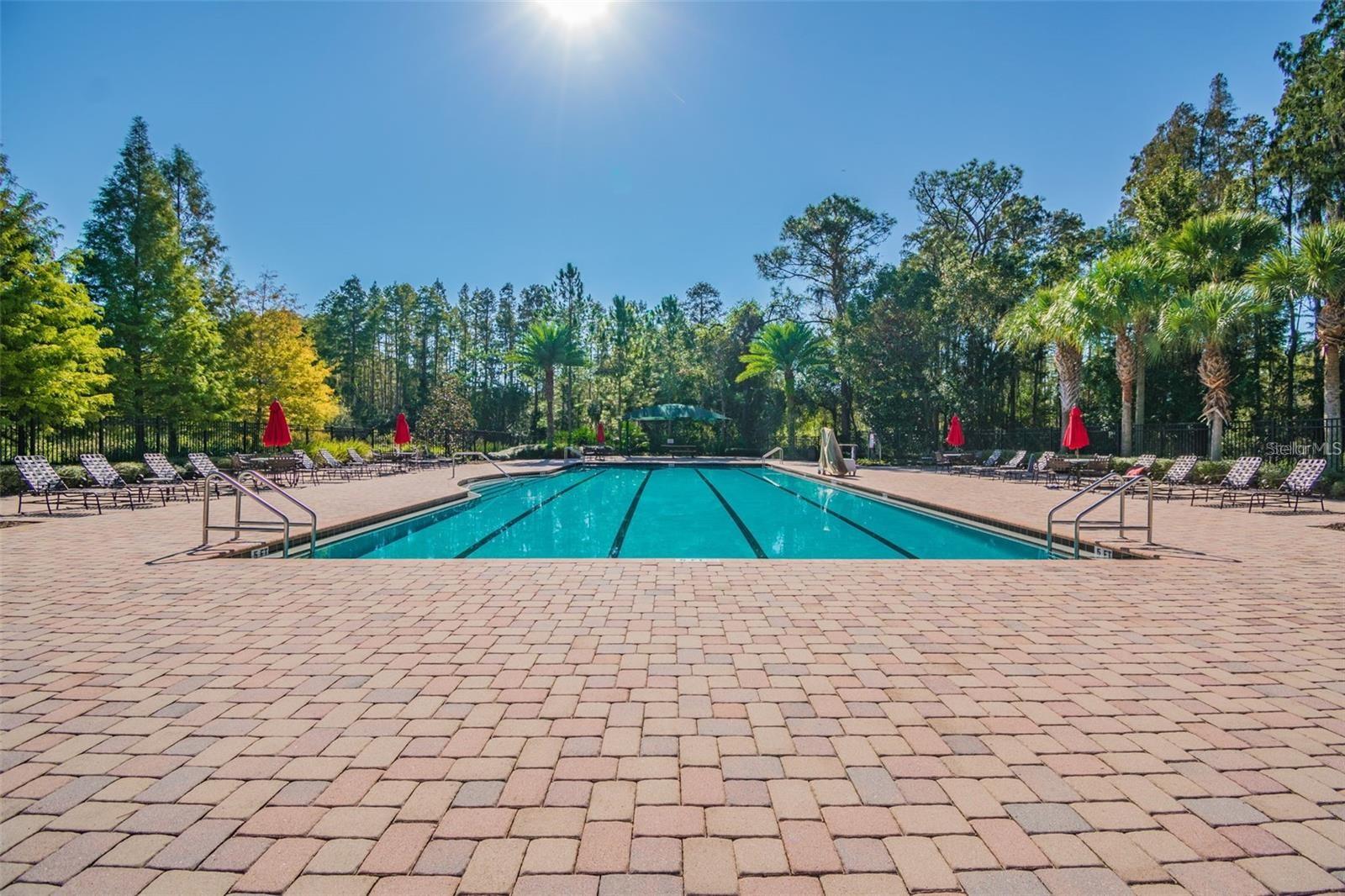 8542 EAGLE BROOK DR — photo 63