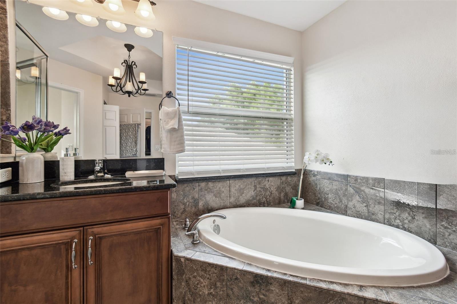8542 EAGLE BROOK DR — photo 34