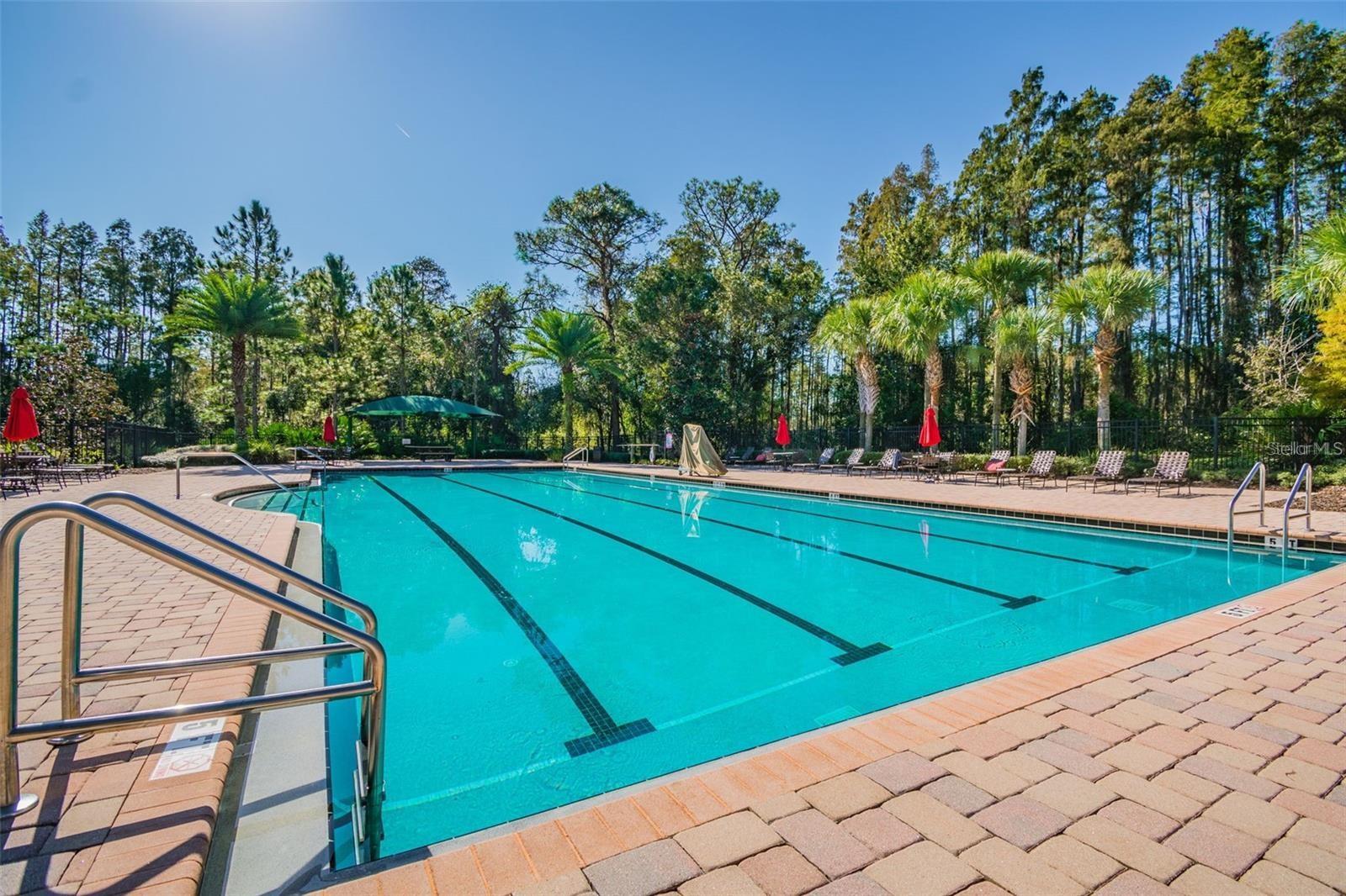 8542 EAGLE BROOK DR — photo 64