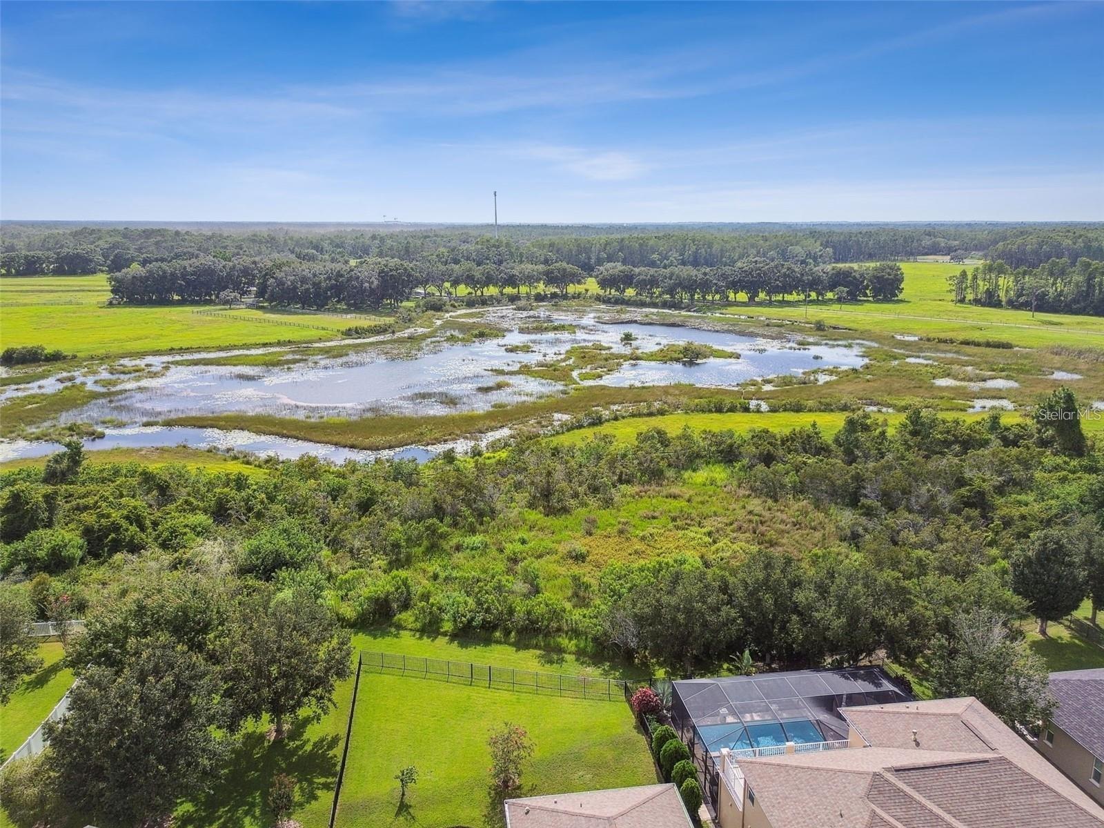 8542 EAGLE BROOK DR — photo 59
