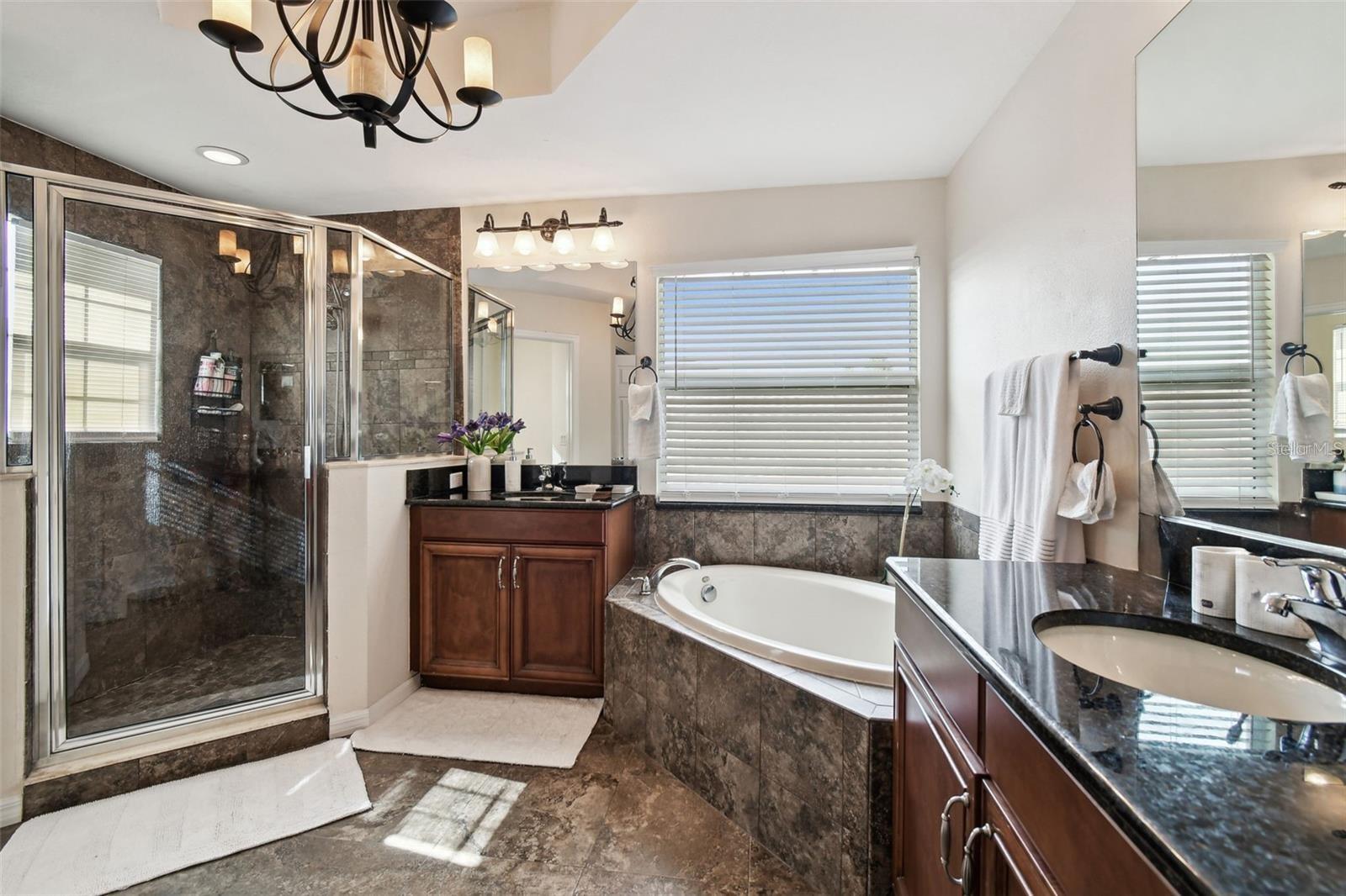 8542 EAGLE BROOK DR — photo 31