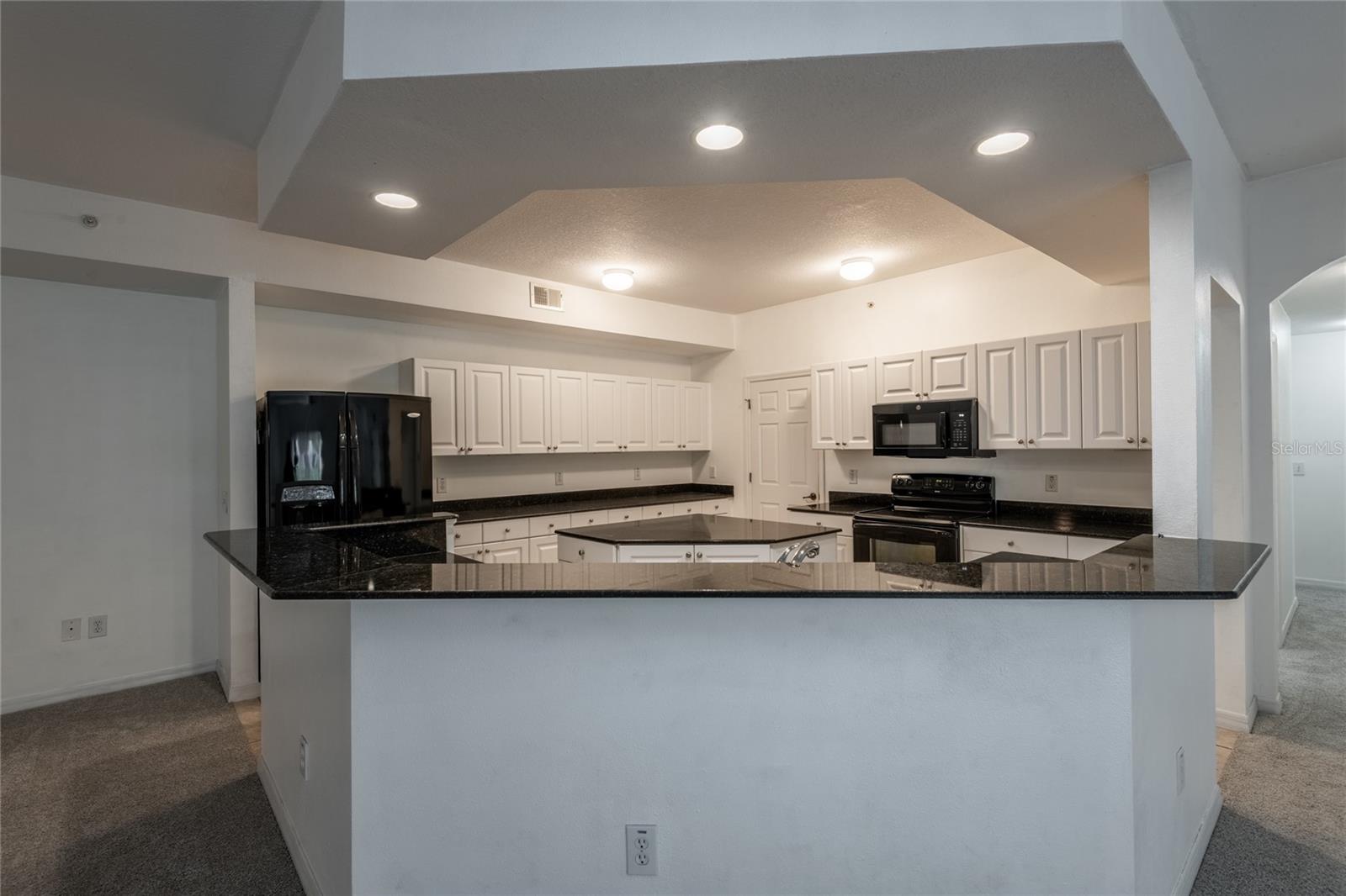 21019 SUNPOINT WAY #102 — photo 8