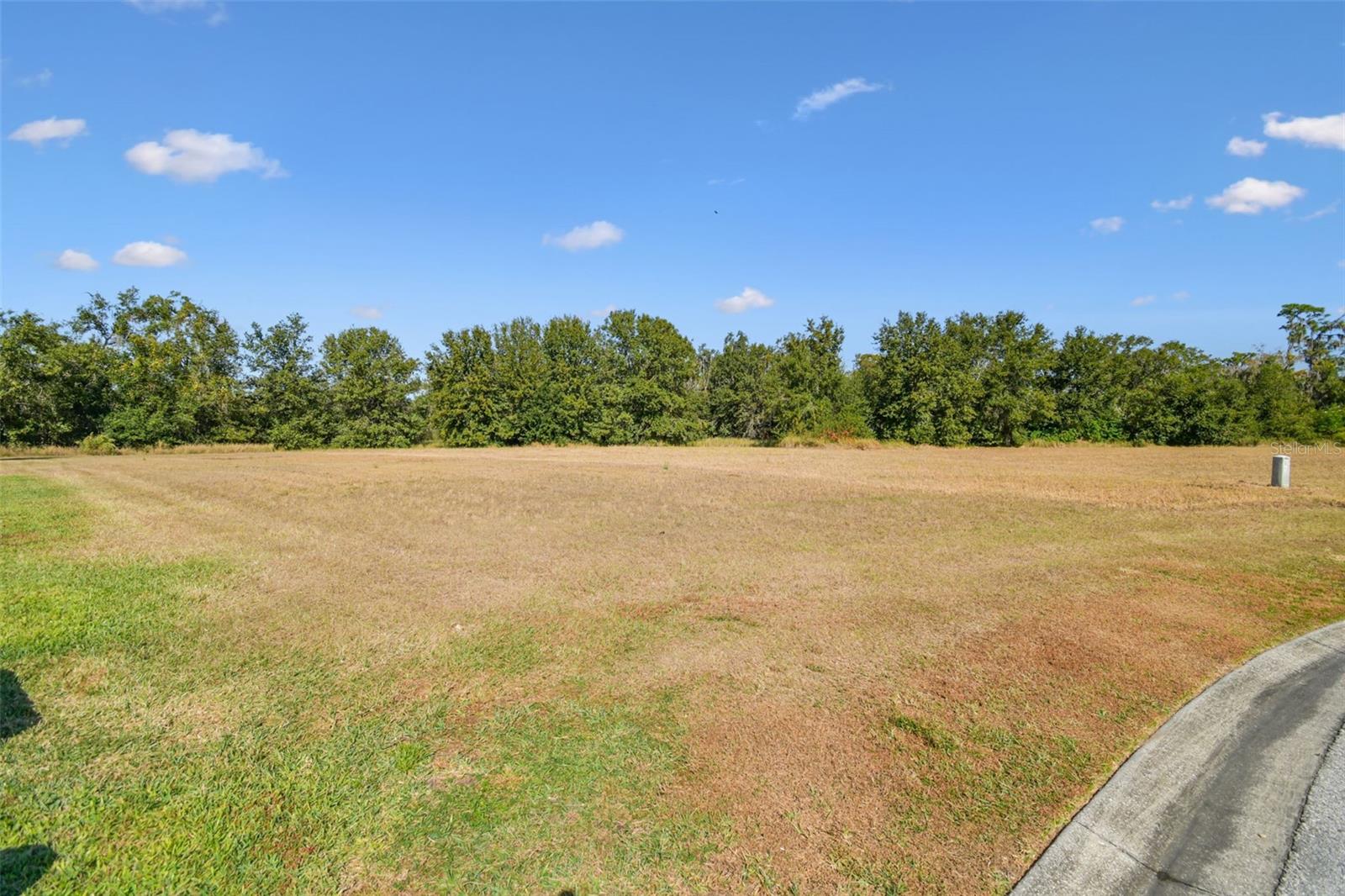 420 HAWK TALON DR — photo 25
