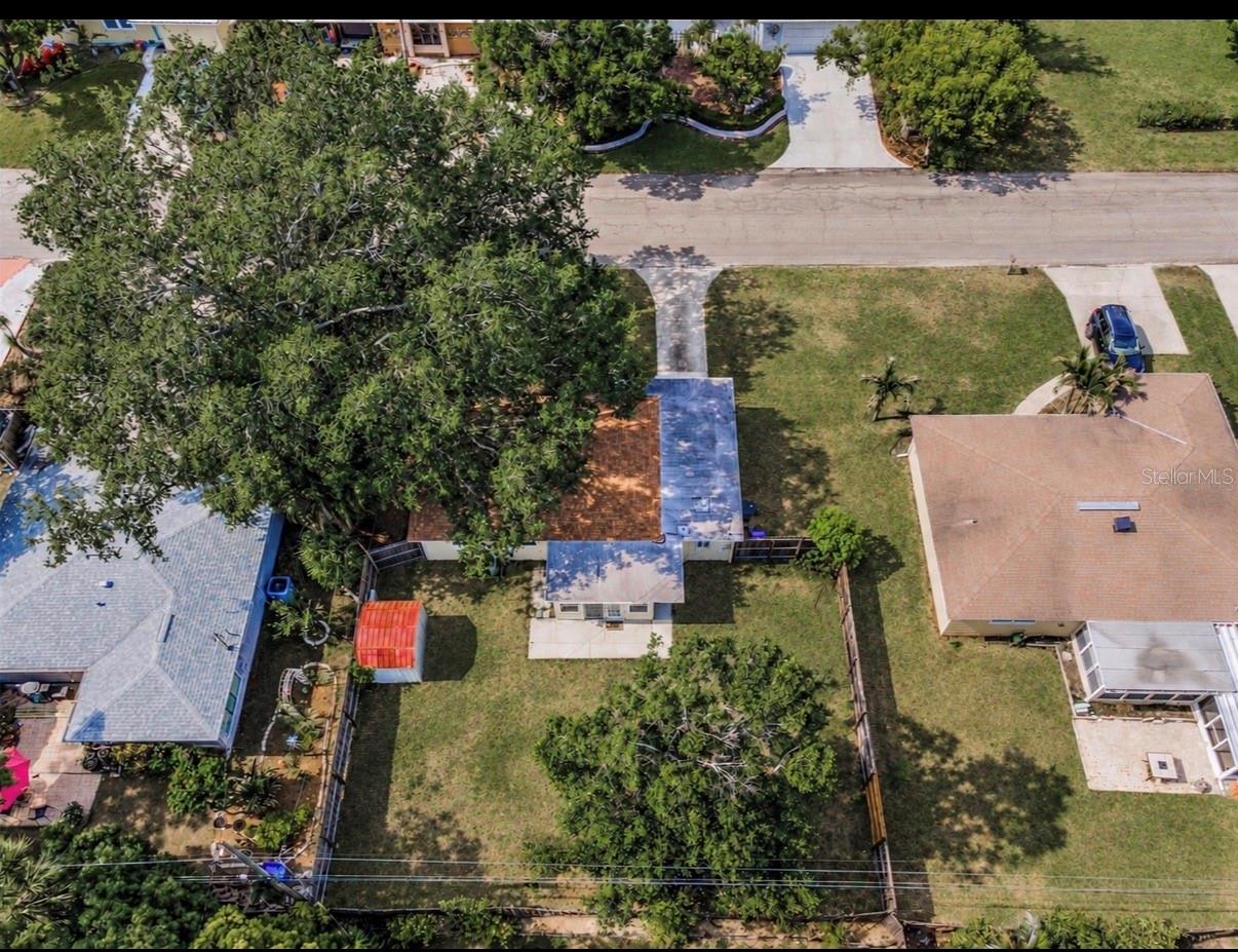 629 LEXINGTON ST — photo 4