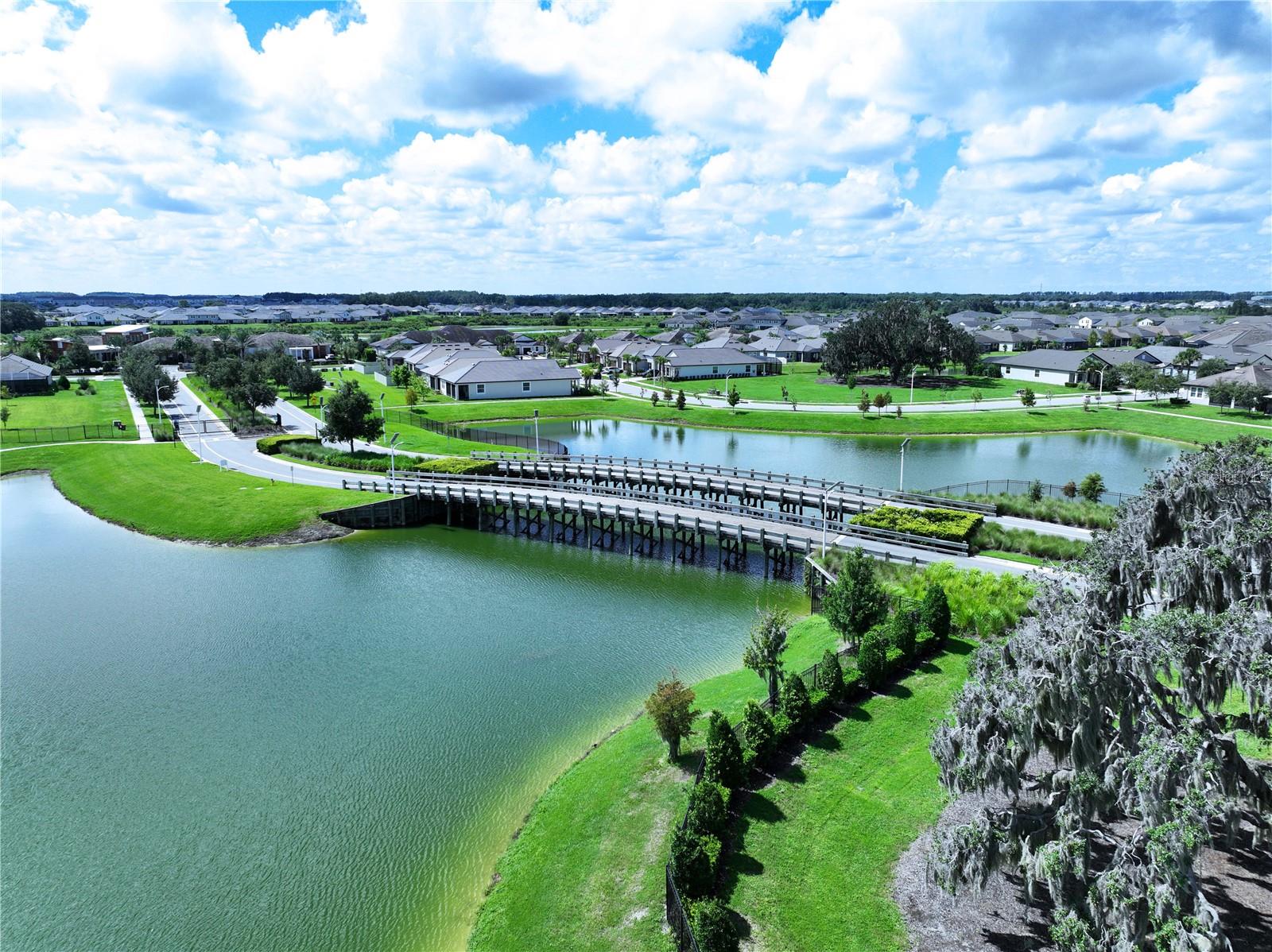 32196 CANNON RUSH DR — photo 41
