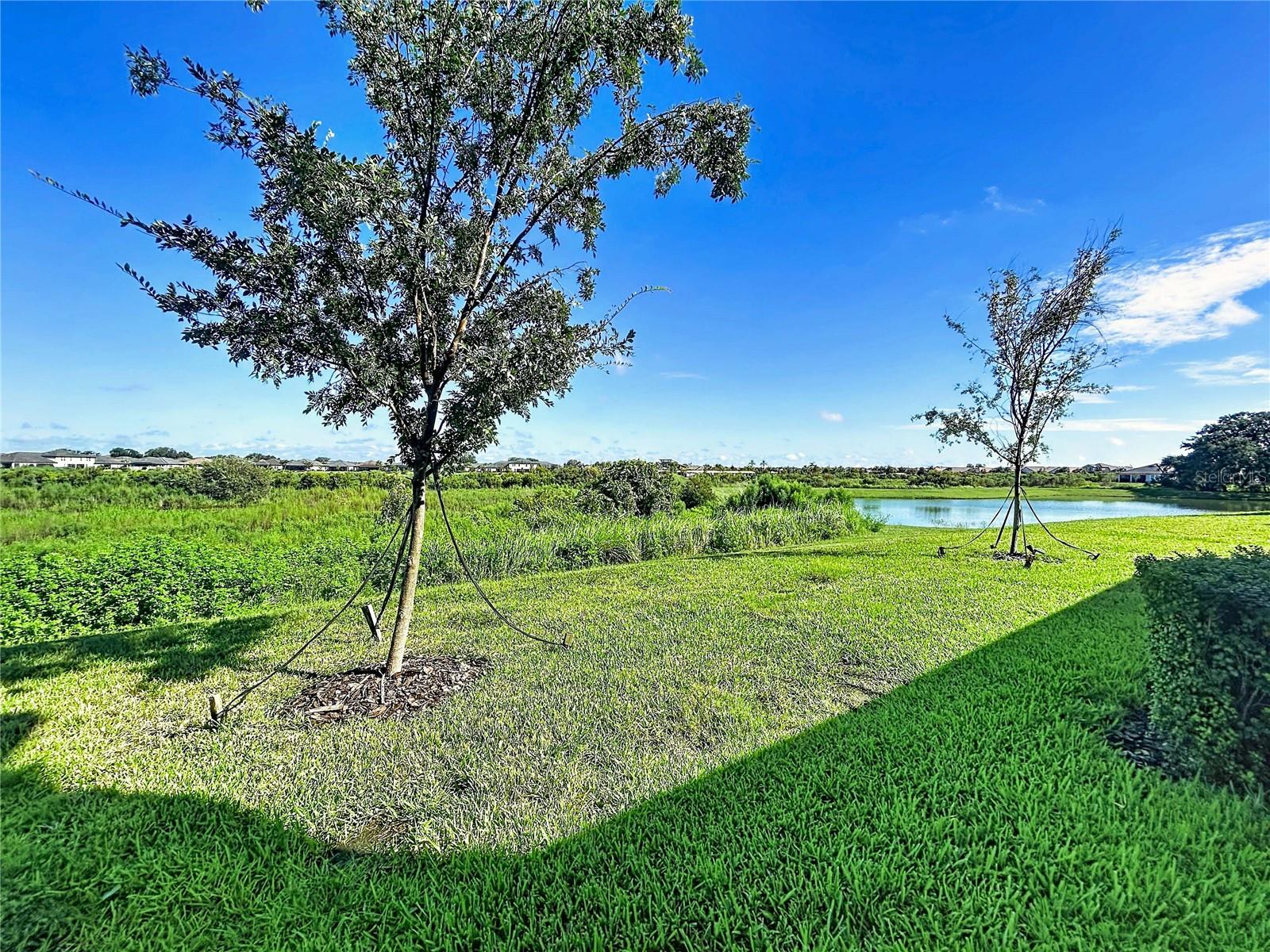 32196 CANNON RUSH DR — photo 20