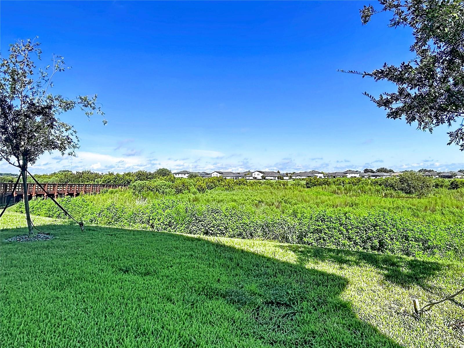 32196 CANNON RUSH DR — photo 18