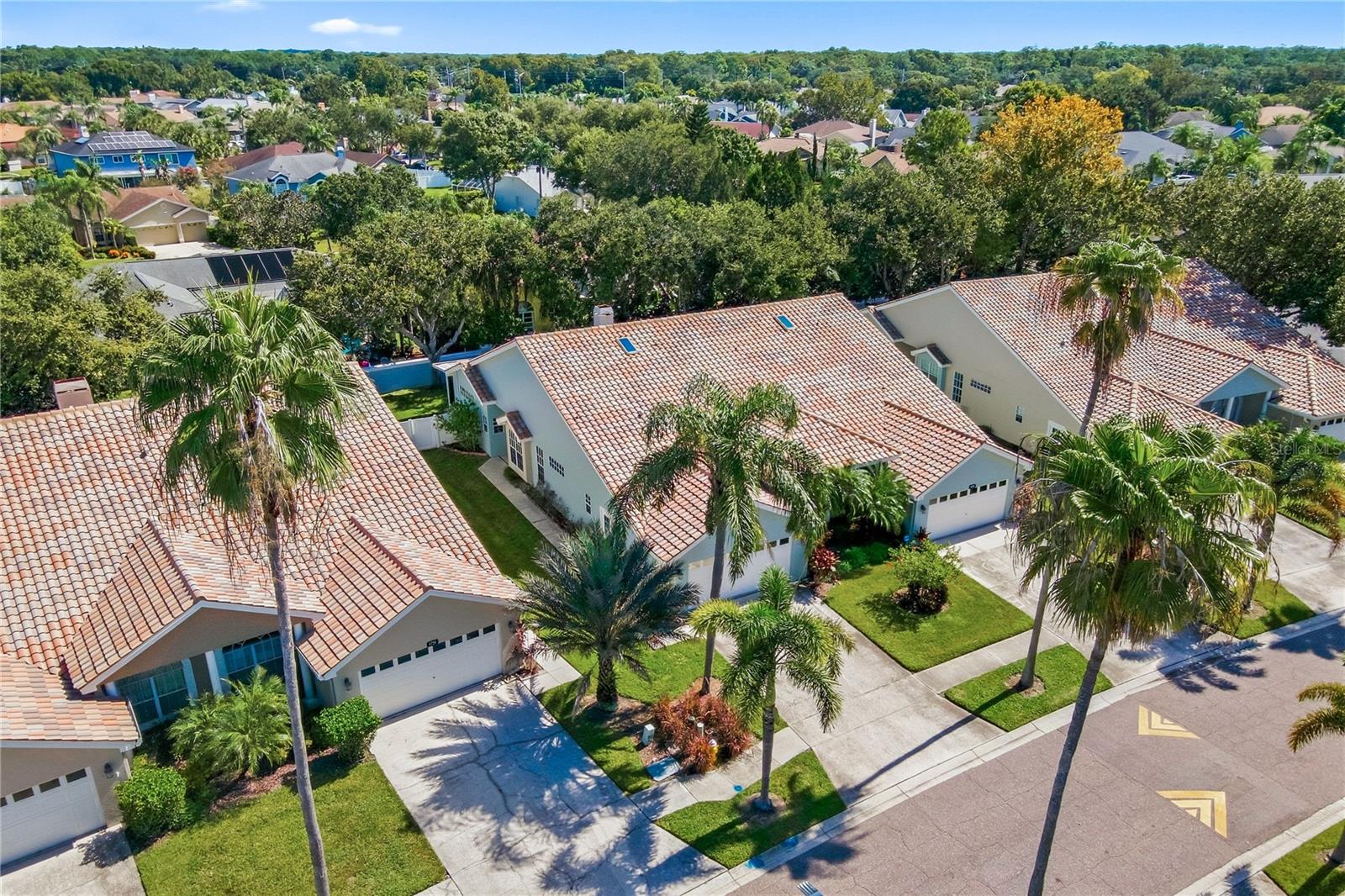 1725 ARABIAN LN — photo 41