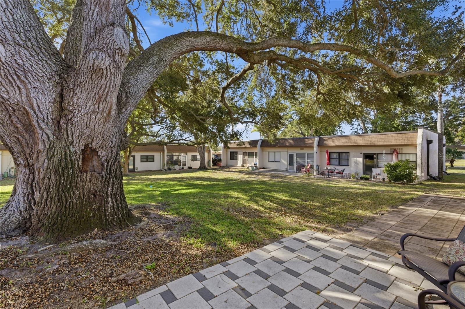 2935 FEATHER DR #65-D — photo 22