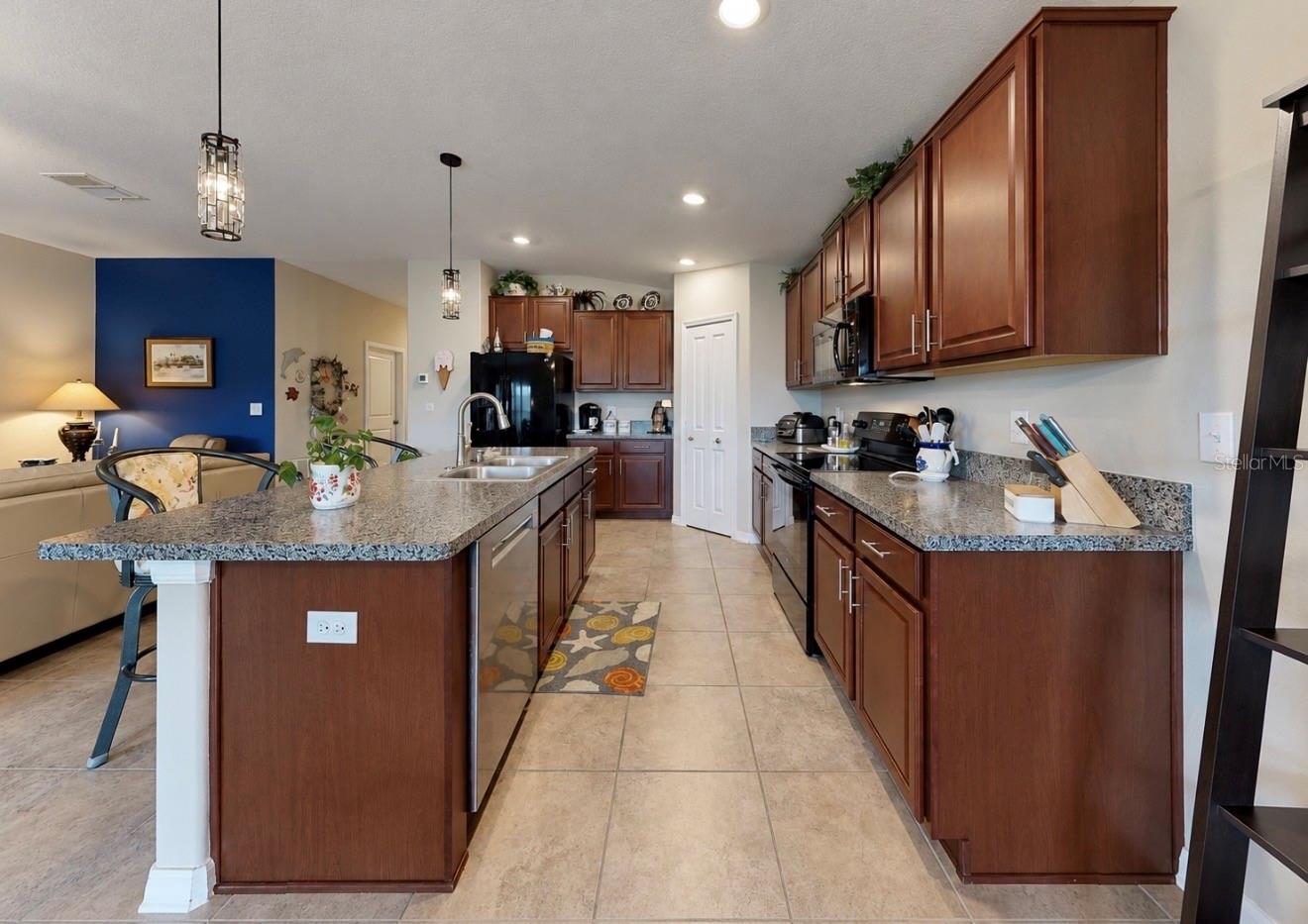 10017 CARAWAY SPICE AVE — photo 10