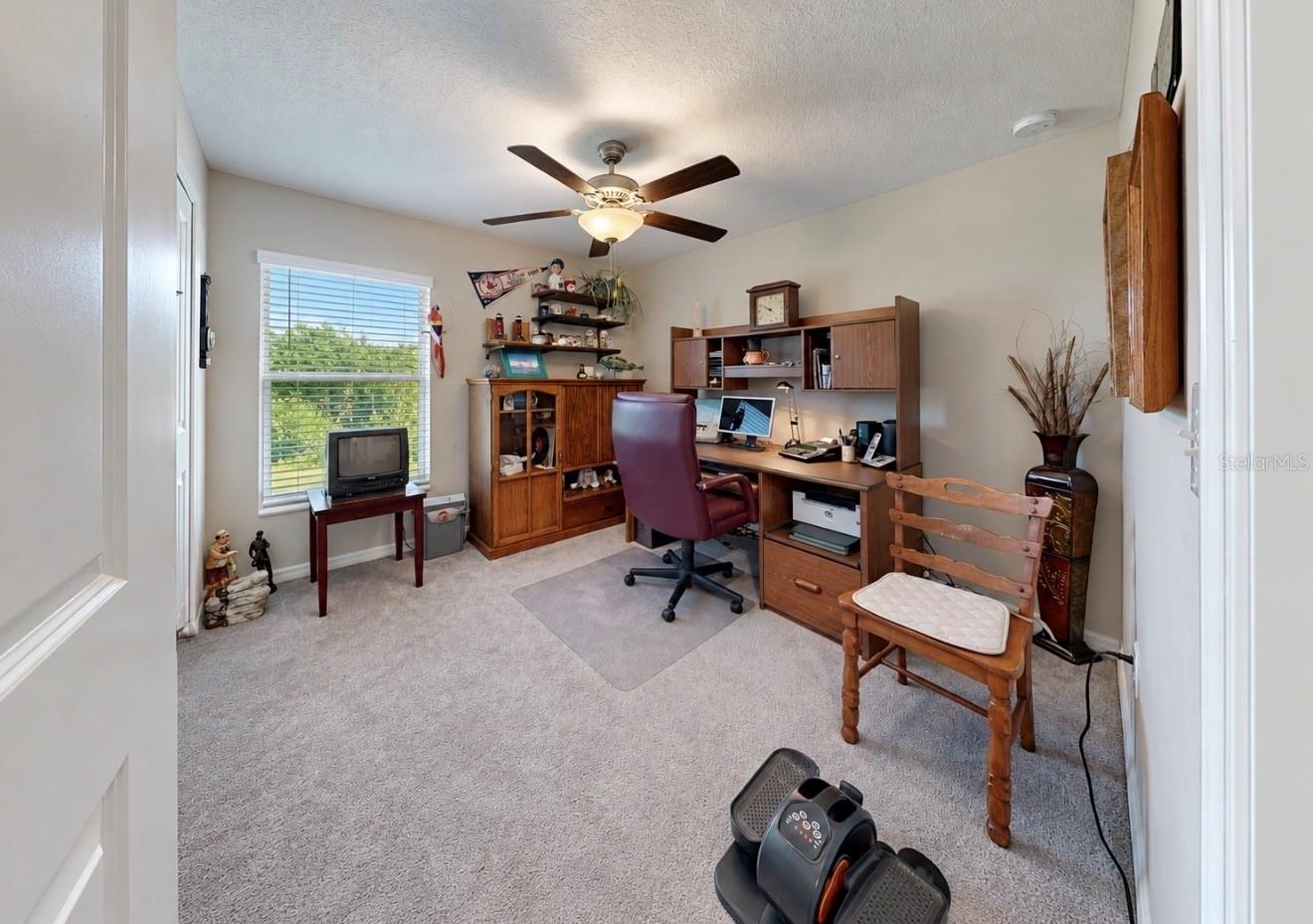 10017 CARAWAY SPICE AVE — photo 25