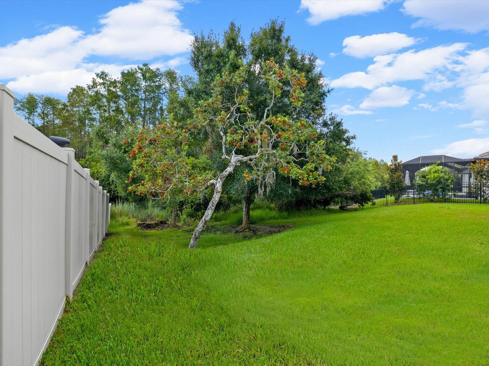 6022 MARSH TRAIL DR — photo 62