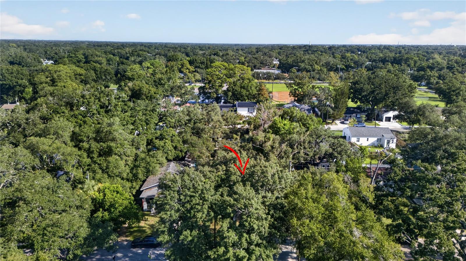 317 W COMANCHE AVE — photo 36