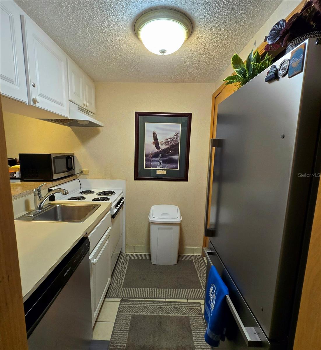 36750 US HIGHWAY 19 N #4-107 — photo 5