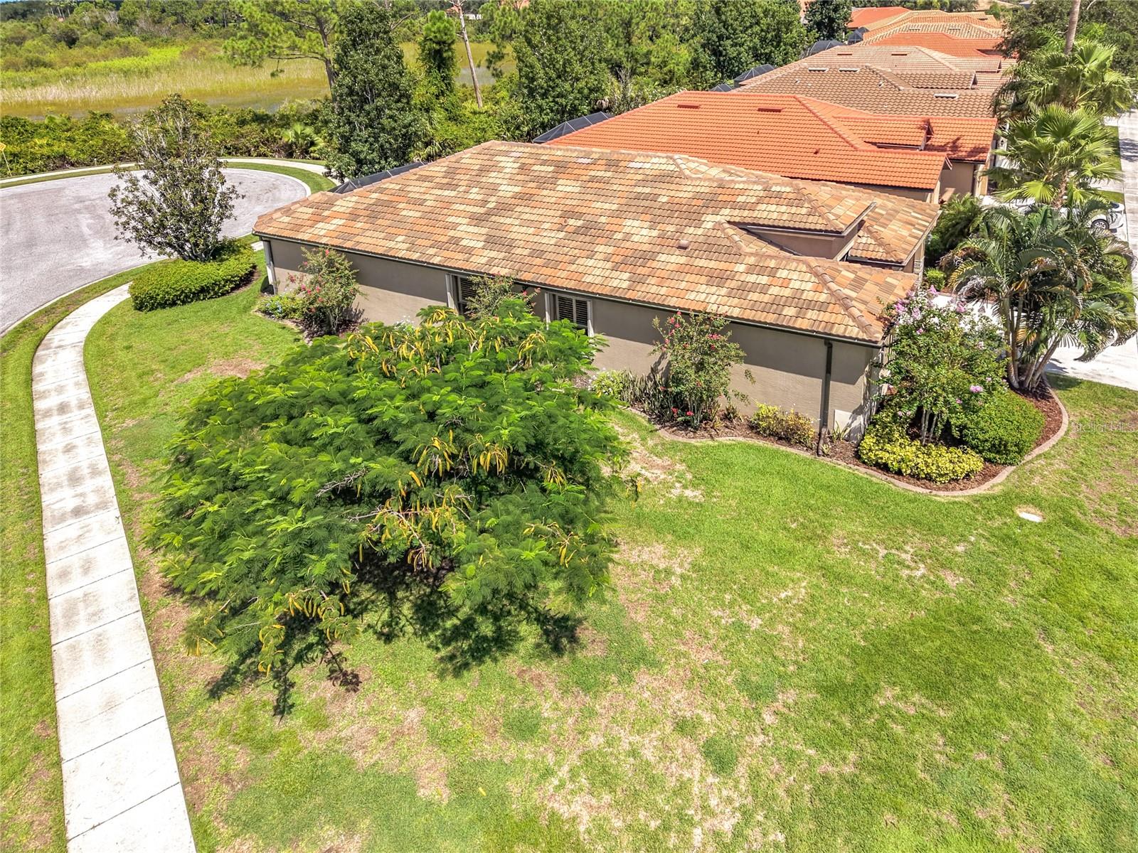 2746 ARUGULA DR — photo 39