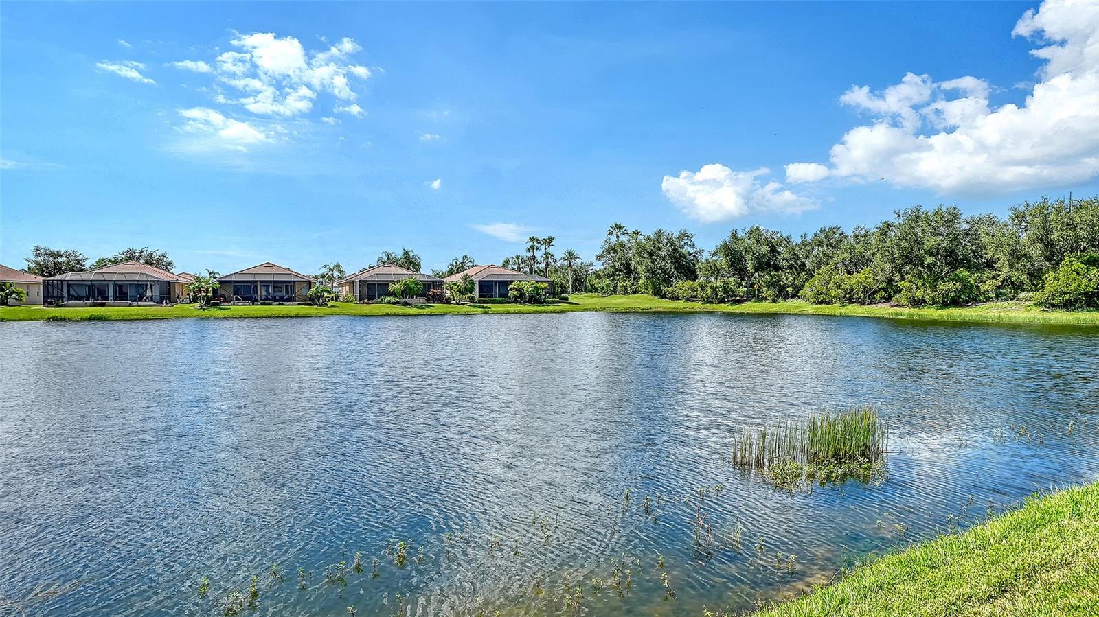 415 GRAND PRESERVE CV — photo 42
