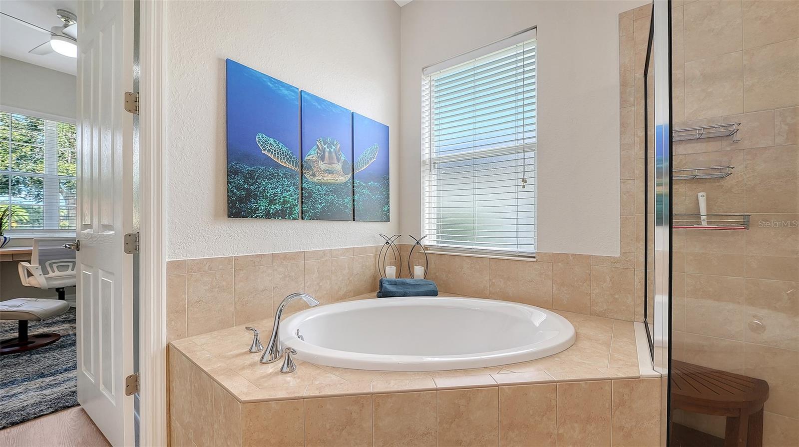 415 GRAND PRESERVE CV — photo 26