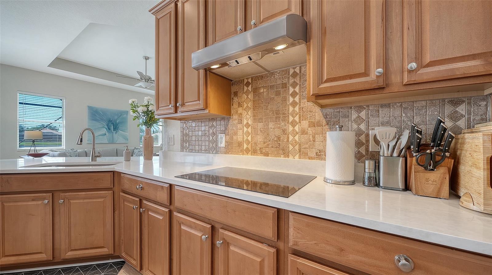415 GRAND PRESERVE CV — photo 14