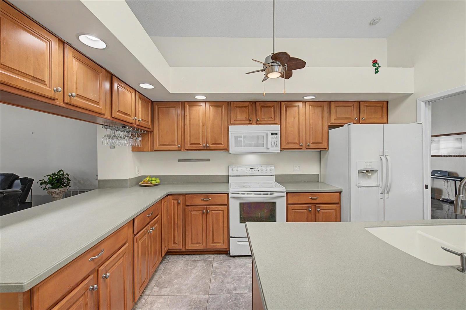 8612 BRAXTON DR — photo 19