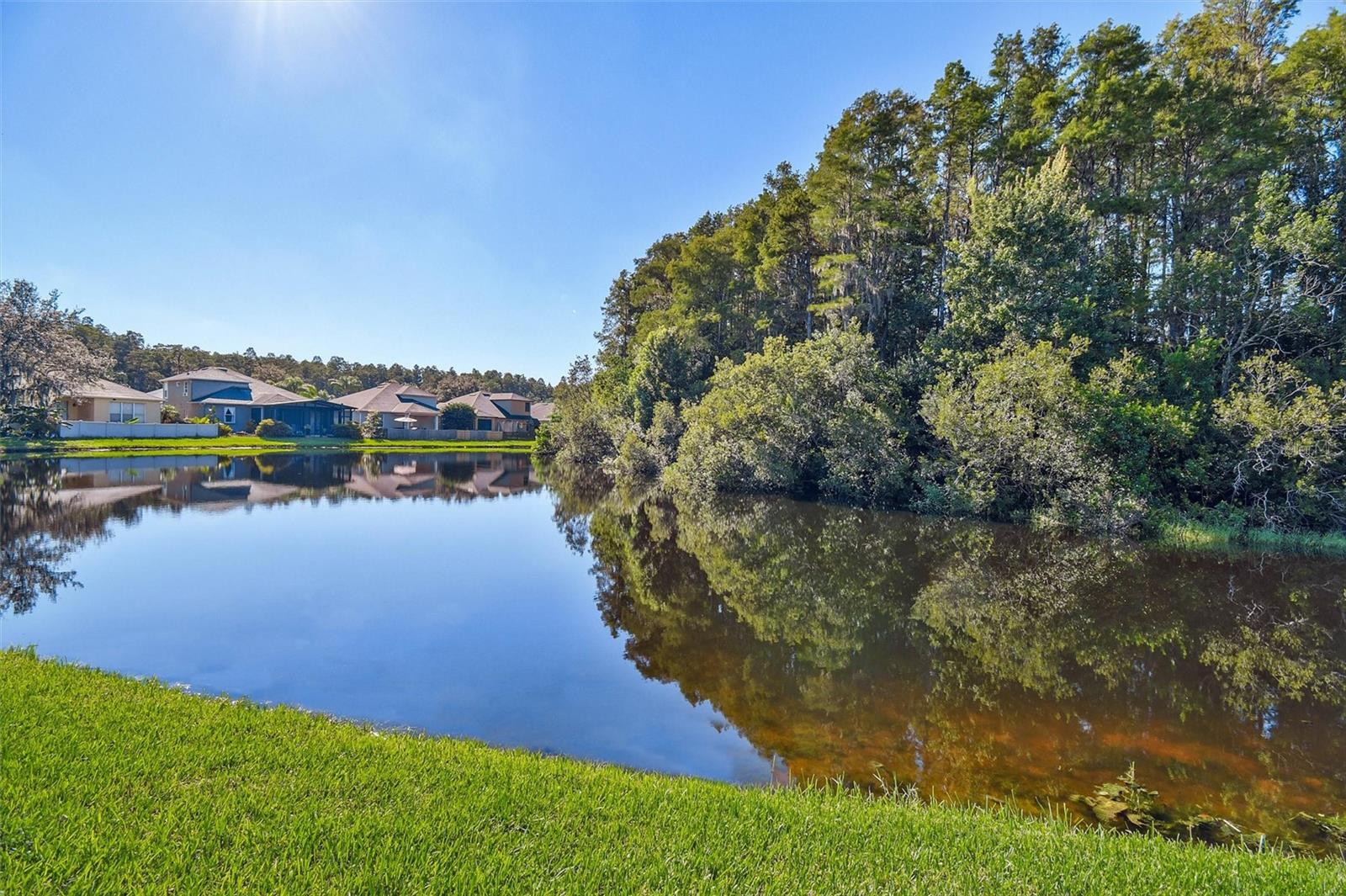 3240 DOWNAN POINT DR — photo 3