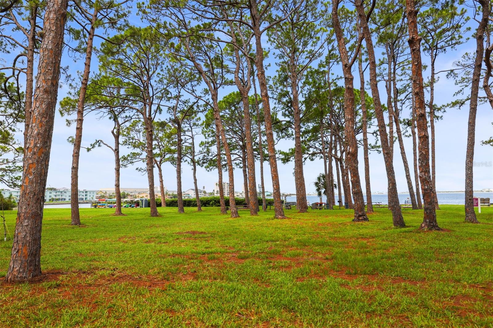 2700 BAYSHORE BLVD #2110 — photo 58