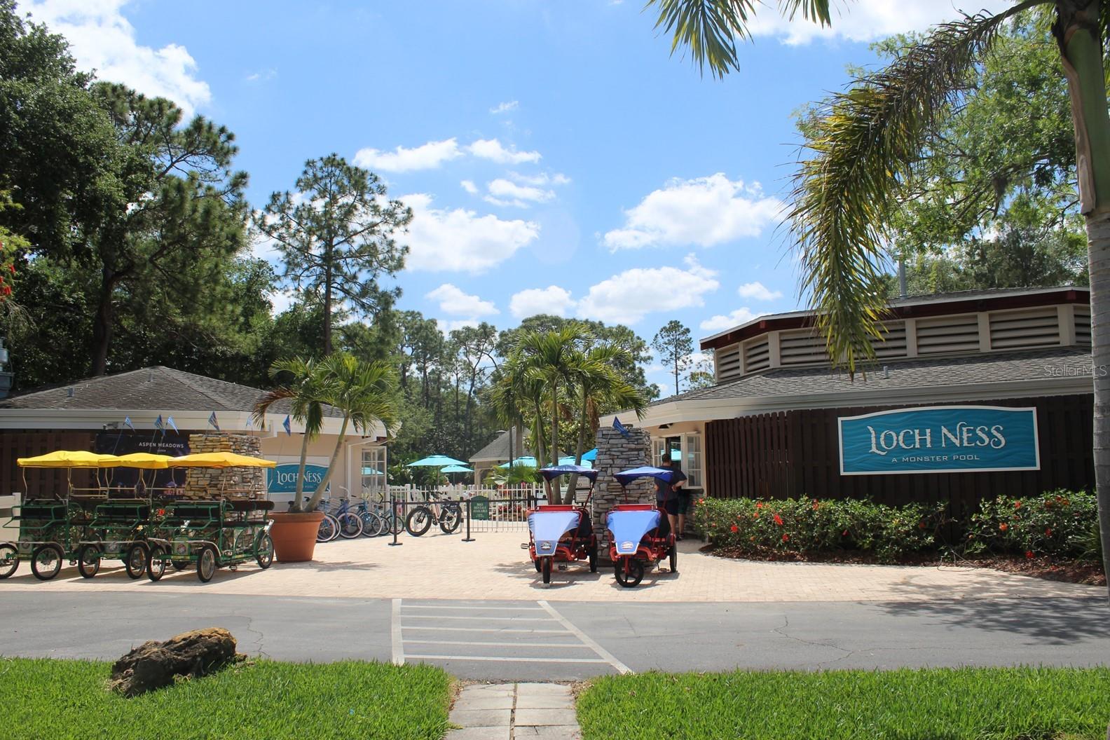 36750 US HIGHWAY 19 #24211 — photo 42