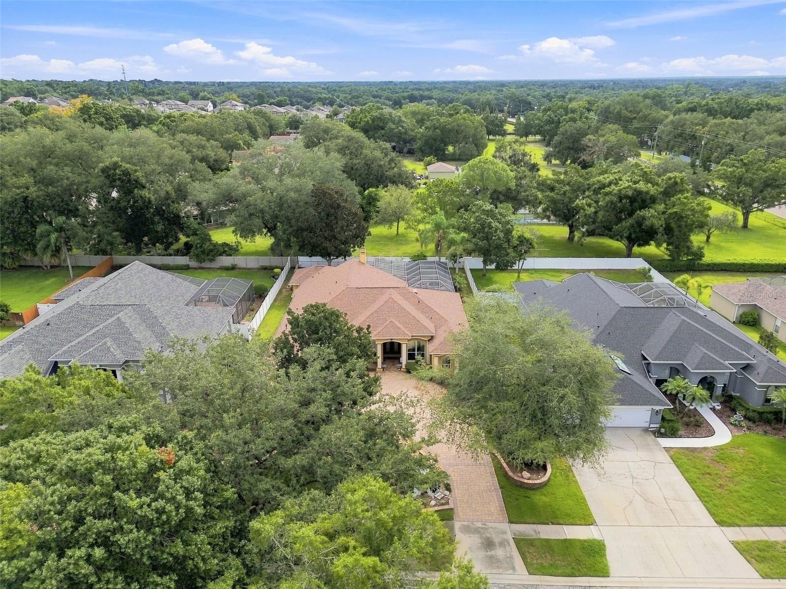 2931 HILLSIDE RAMBLE DR — photo 8
