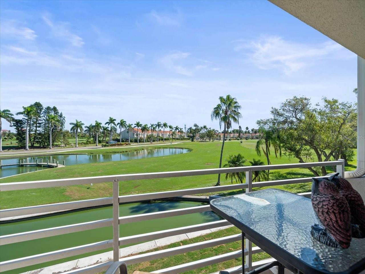 5900 BAHIA DEL MAR CIR #238 — photo 24