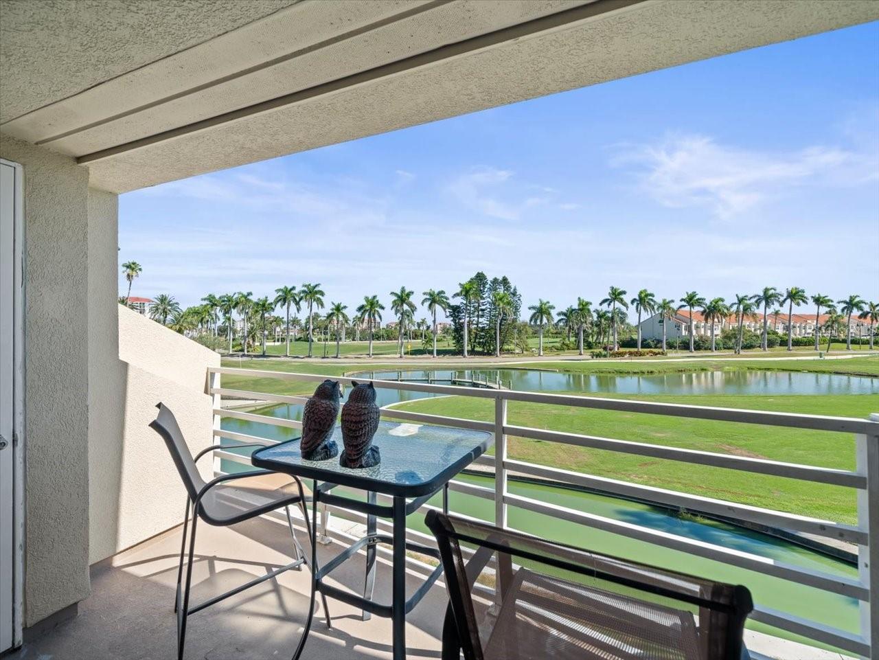 5900 BAHIA DEL MAR CIR #238 — photo 23
