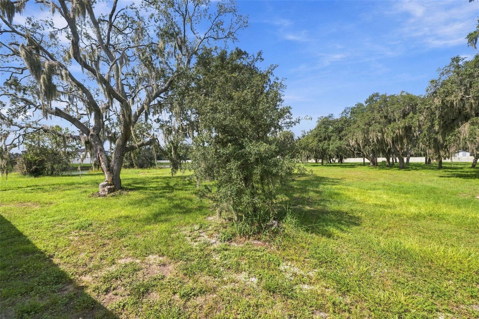12919 WILLOW GROVE DR — photo 59