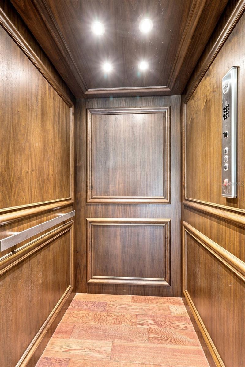 116 FOREST HILLS DR — photo 41